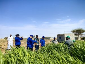 Launch of the Oman desert agricultural soil improvement system program experiment